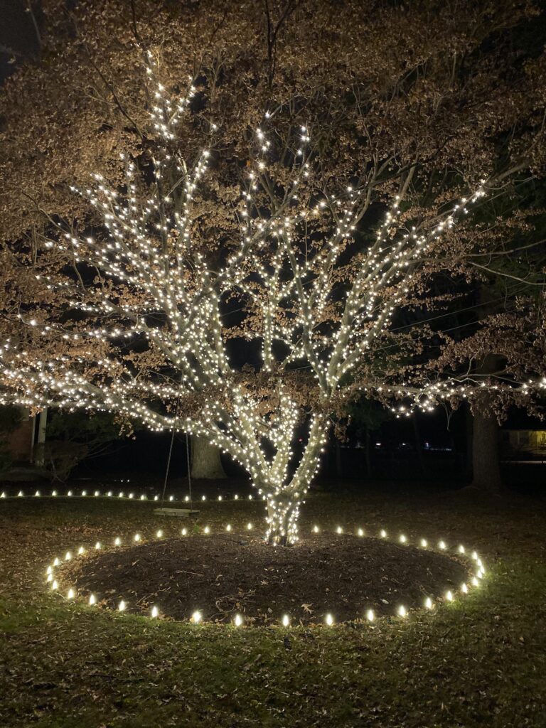 commercial christmas light installation cherry hill nj