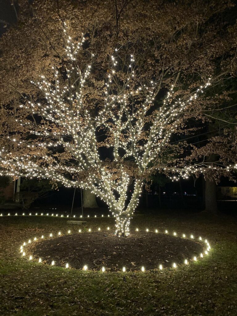 commercial christmas light installation tabernacle nj