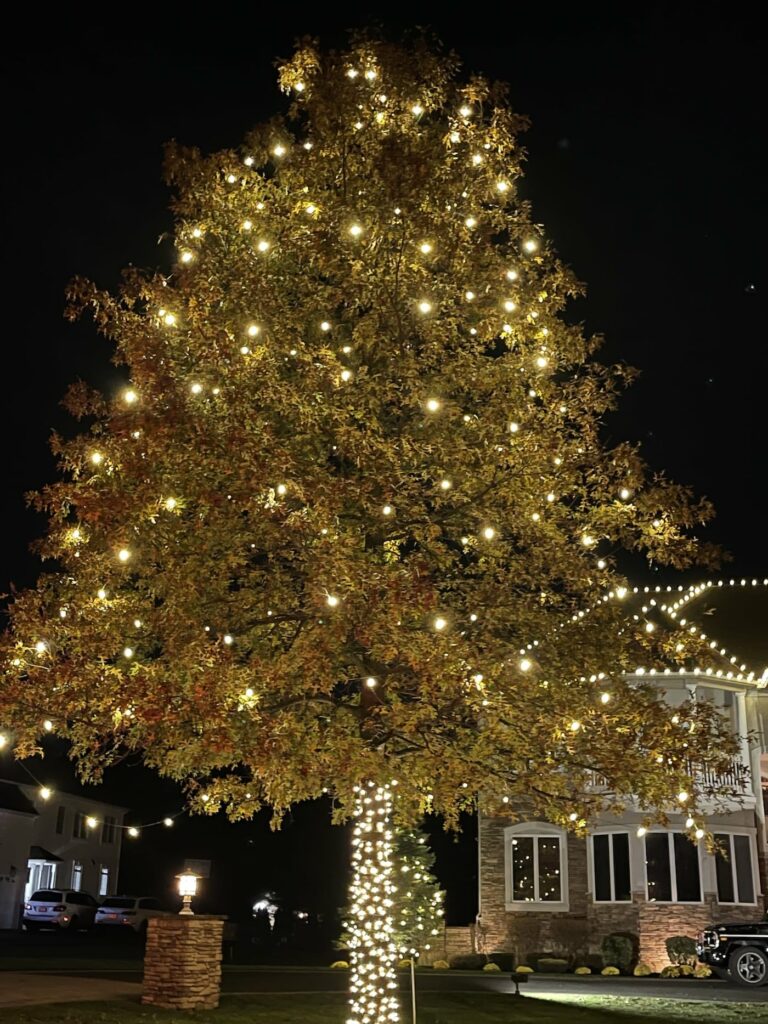 voorhees commercial christmas light installation near me